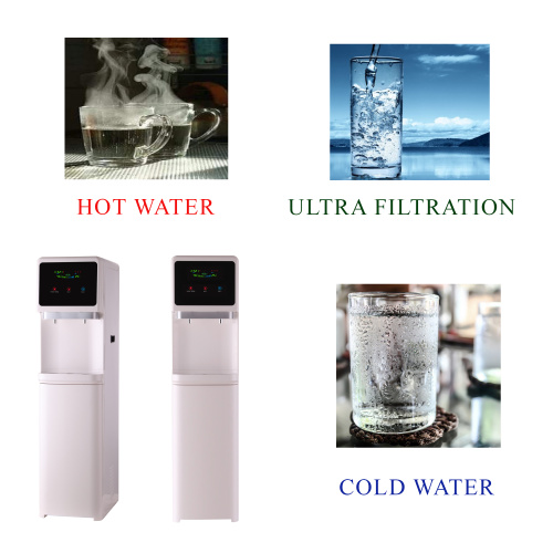 UF white DIAMOND_advertising.jpg