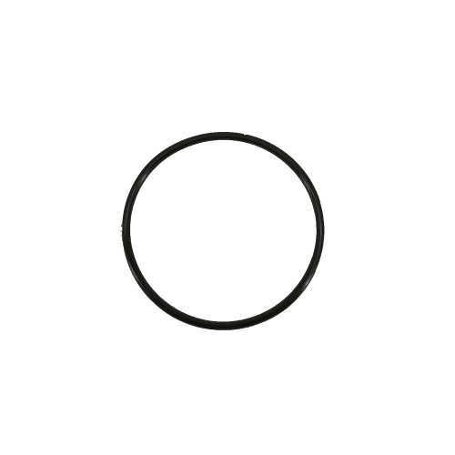 O'ring for membrane housing 3113.jpg