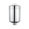 Shower filter CLASSIC.jpg