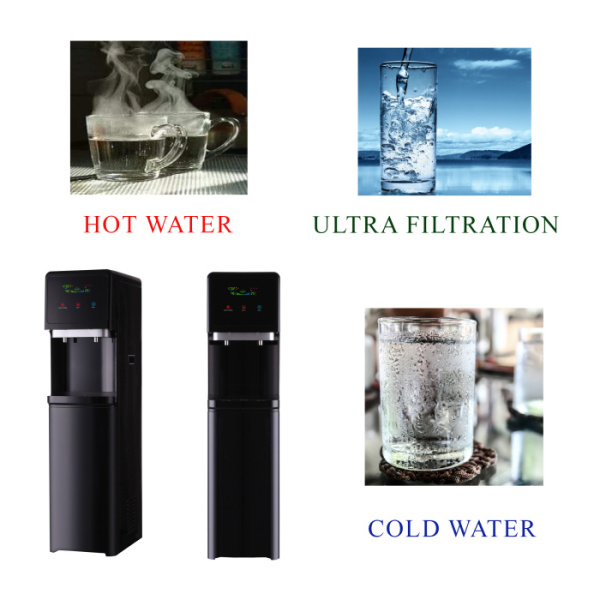 UF BLACK DIAMOND_advertising.jpg